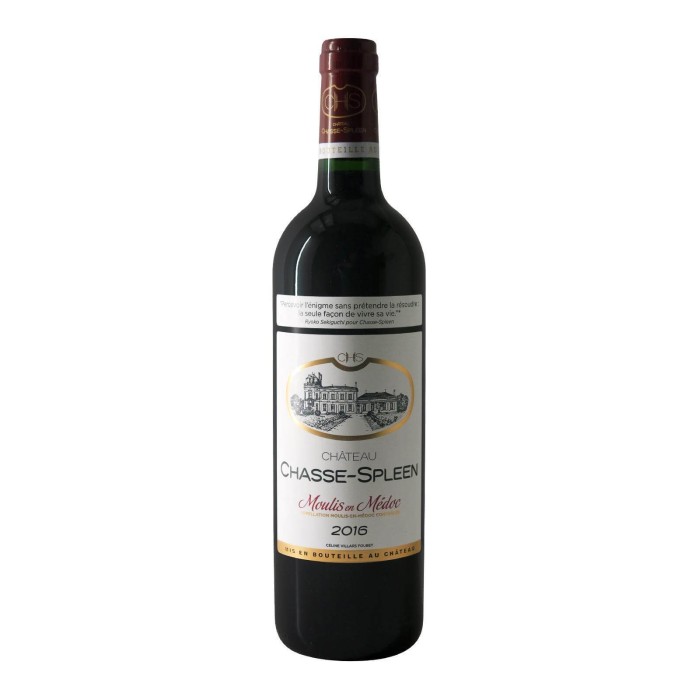 Chateau Chasse-Spleen Moulis-en-Medoc