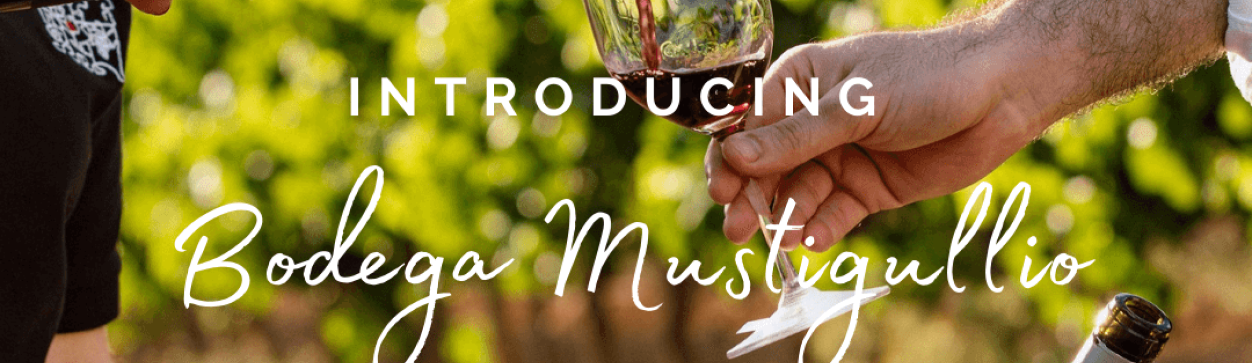 Wine Producer Spotlight Bodega Mustigullio