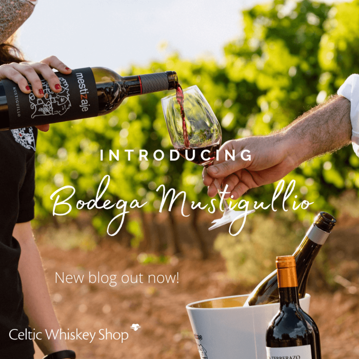 Wine Producer Spotlight Bodega Mustigullio