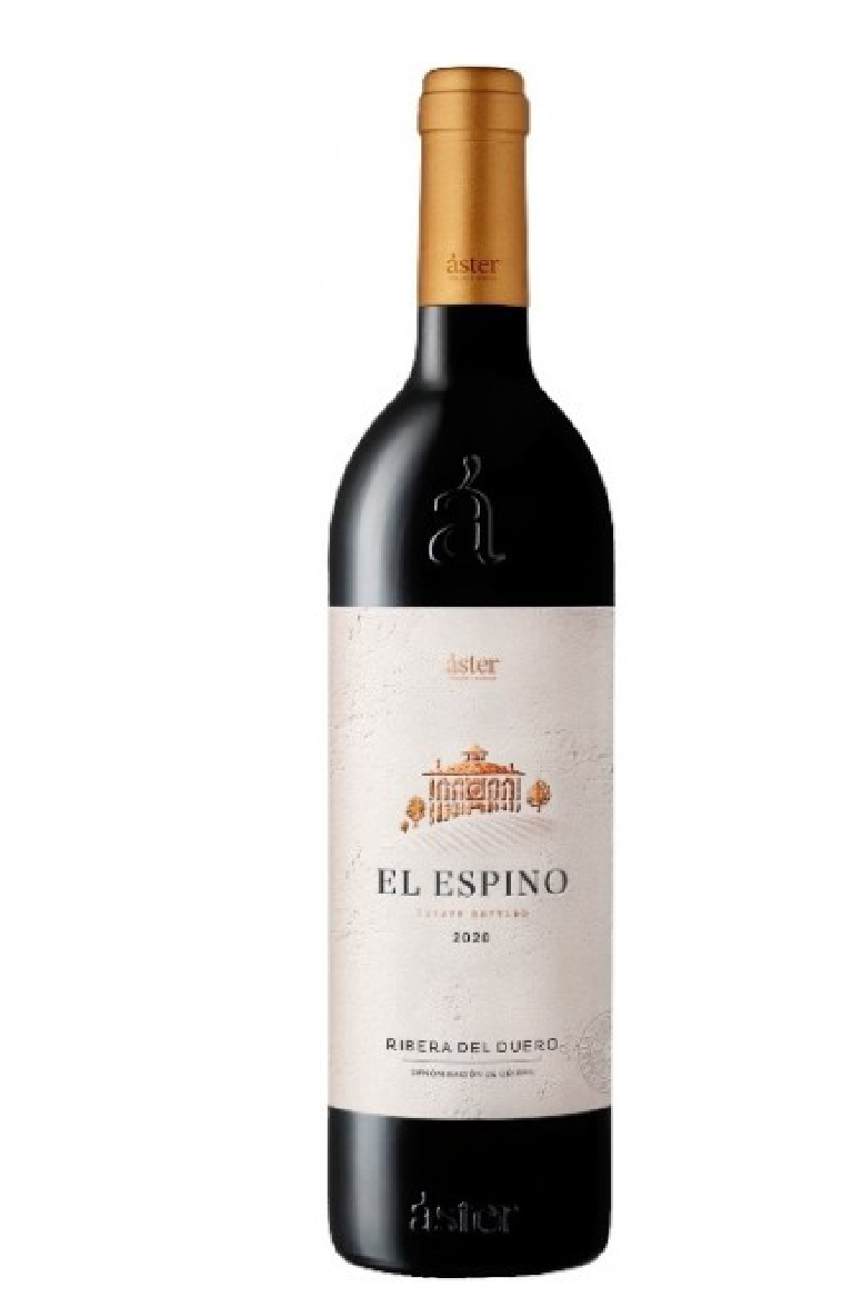 Aster El Espino