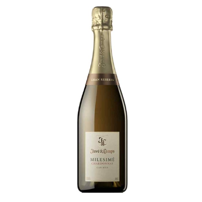 Juve Y Camps Chardonnay Brut