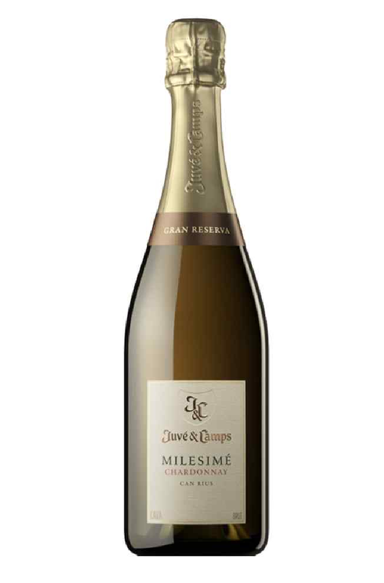 Juve Y Camps Chardonnay Brut