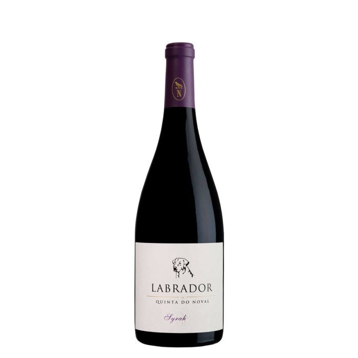 Labrador Syrah