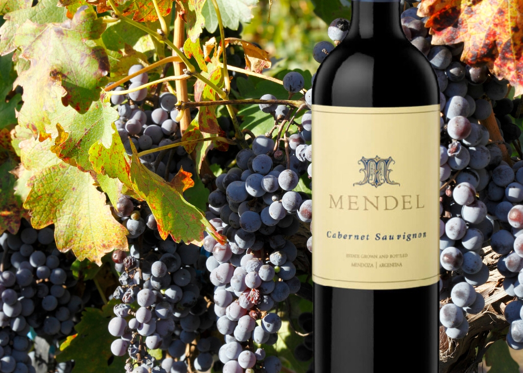 Cabernet Sauvignon
