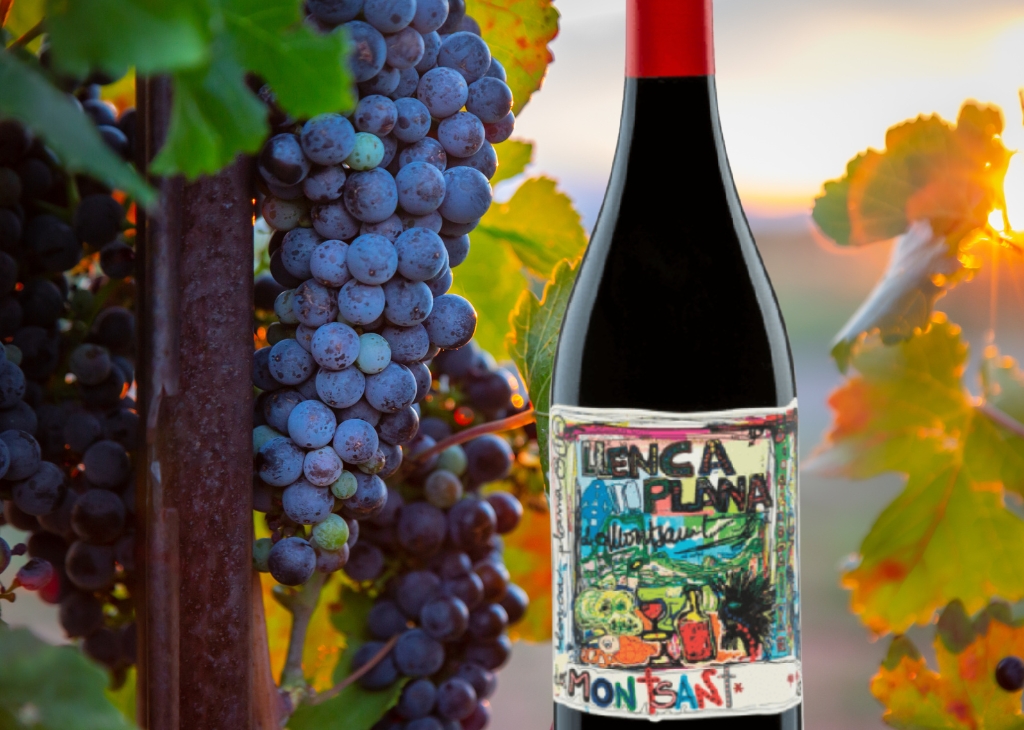 Grenache