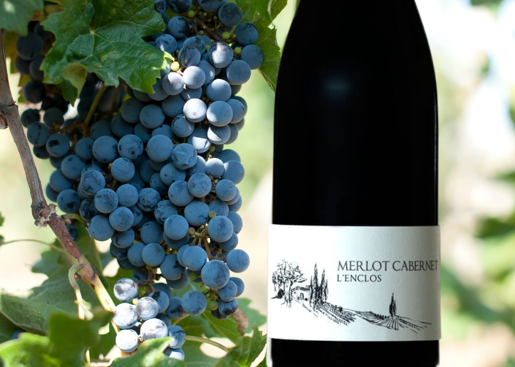 Merlot