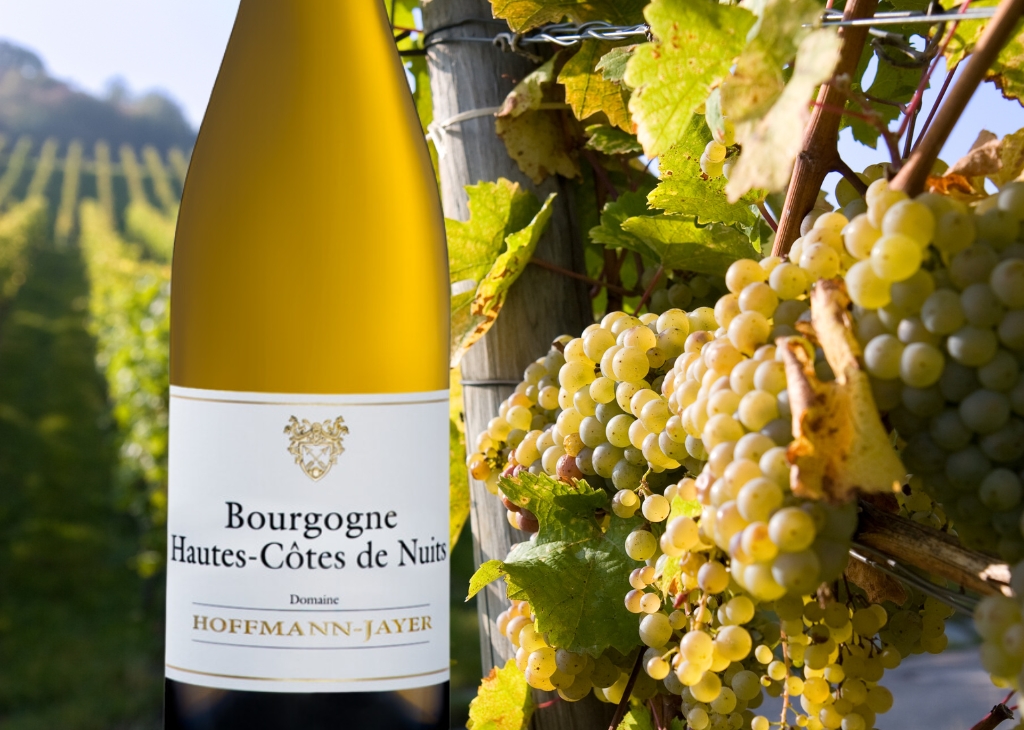 Pinot Blanc/Pinot Bianco