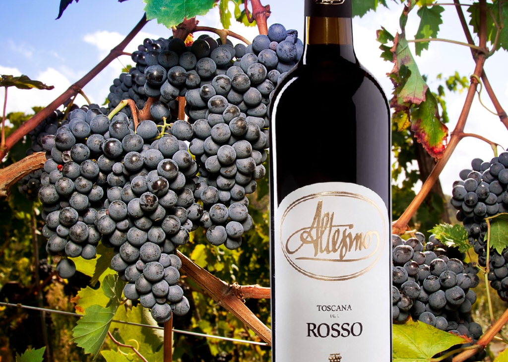 Sangiovese