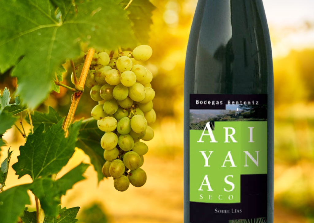 Muscat/Moscato
