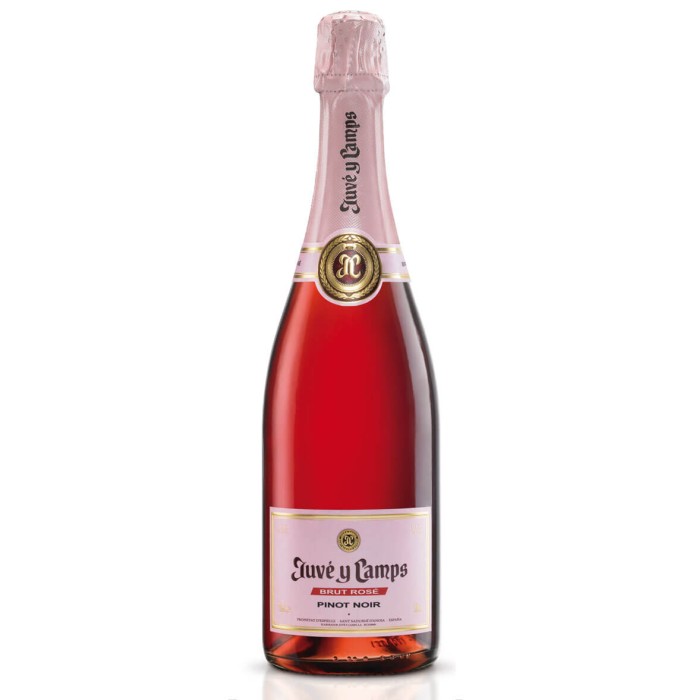 Juvé y Camps Brut Rosé Cava 