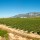 Bodegas y Vinedos Pujanza