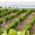 Vinos Sanz