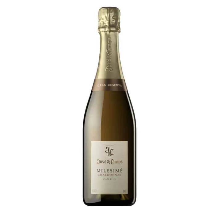 Juve Y Camps Chardonnay Brut