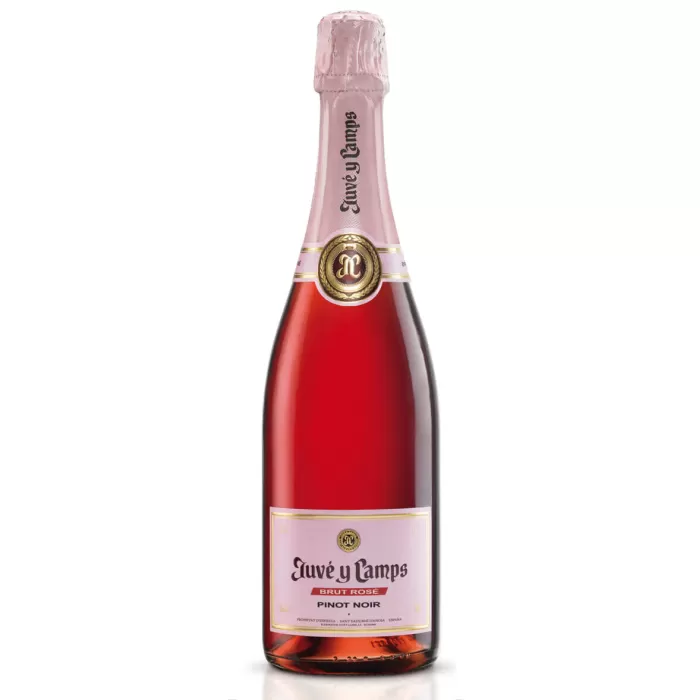 Juvé y Camps Brut Rosé Cava 