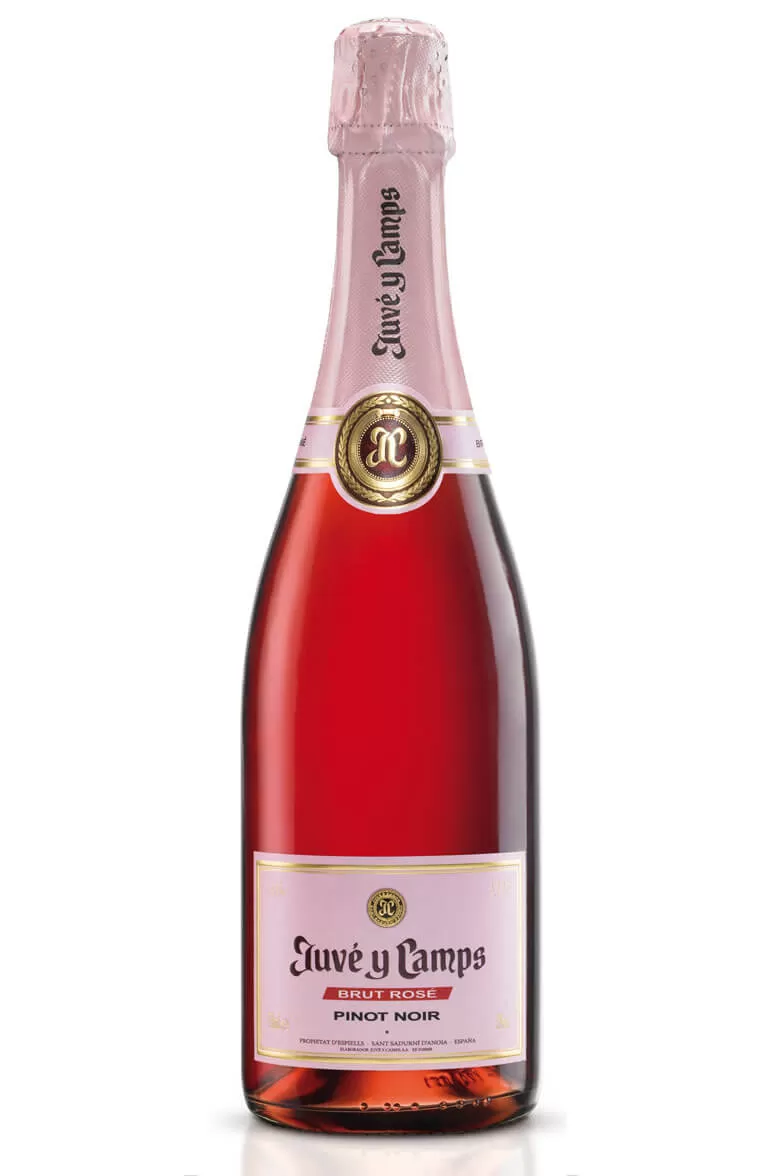 Juvé y Camps Brut Rosé Cava 