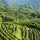 Prosecco La Farra