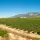 Bodegas y Vinedos Pujanza