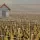 Domaine Mongeard-Mugneret