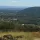 Monterrei