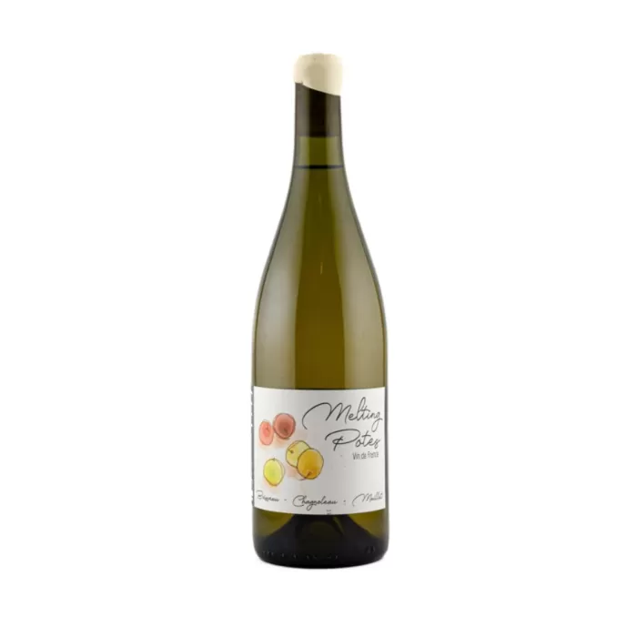Frantz Chagnoleau Savagnin Vin de France