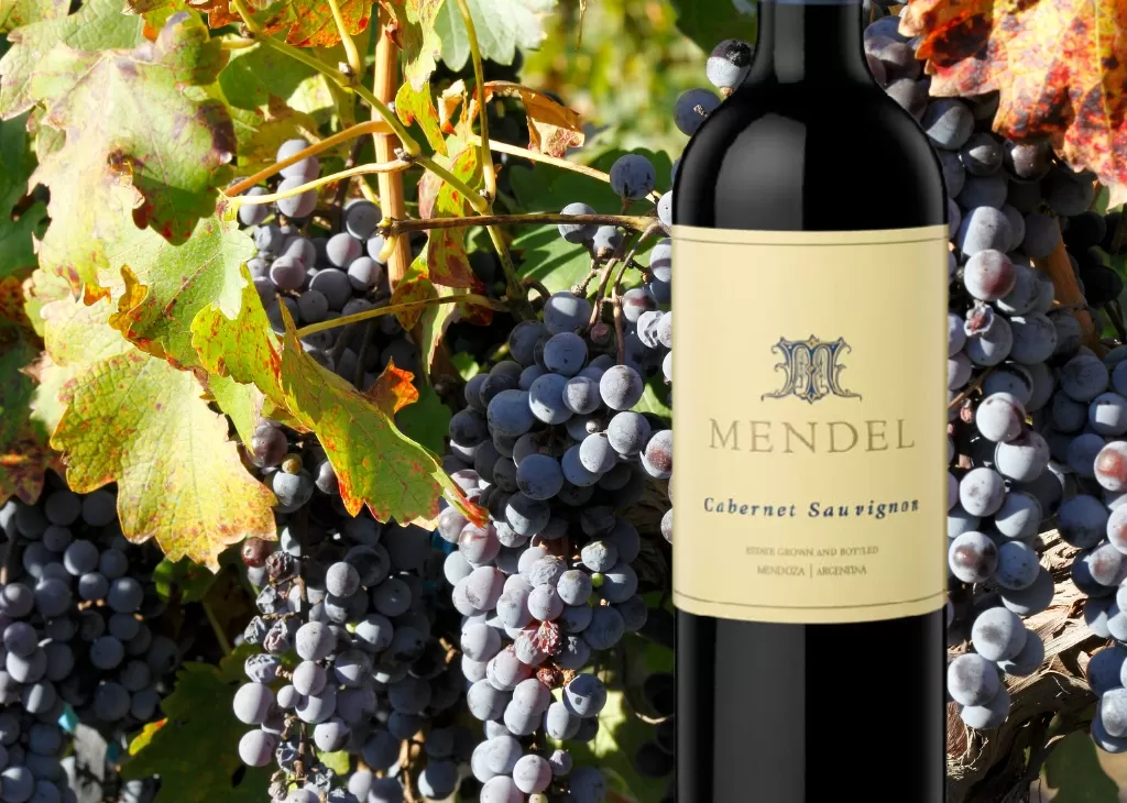 Cabernet Sauvignon