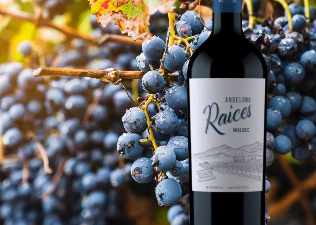 Malbec