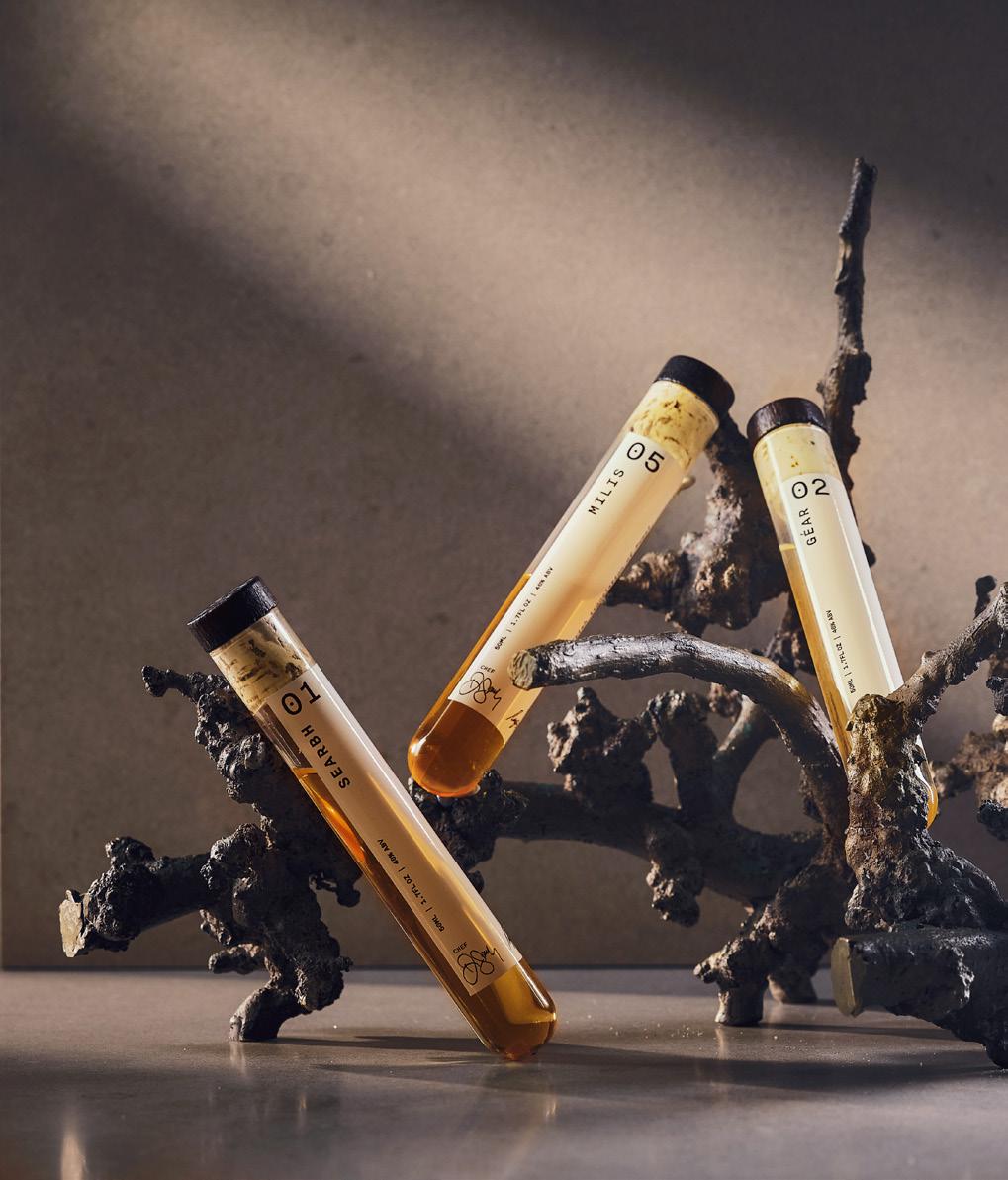 Craftsmanship Meets Innovation